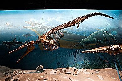 《真女神转生5》恶魔介绍：凯尔特大地母神达娜